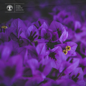 中国浓毛少妇毛茸茸
