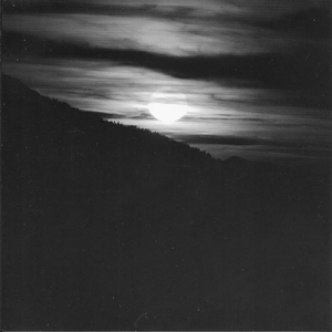 空间宣传小鹤导航
