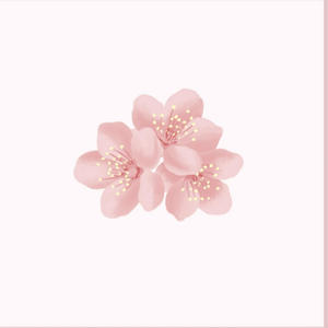 爽灬爽灬爽灬毛及A感官王国
