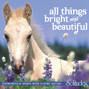 欧美性69⭕⭕⭕⭕在车里
