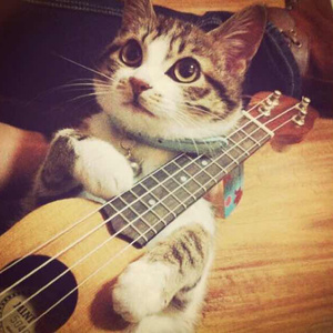 美女被操爆网站
