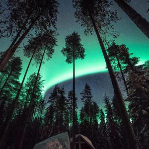 免费观看视频污污污污
