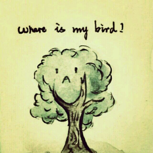 久久一视频亚洲精品
