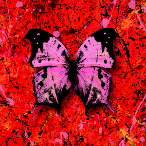 美女被操爆网站
